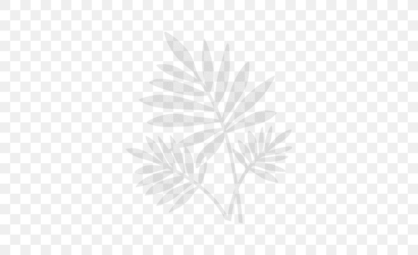 Flowering Plant Line Leaf Branching, PNG, 500x500px, Flowering Plant, Black And White, Branch, Branching, Flower Download Free