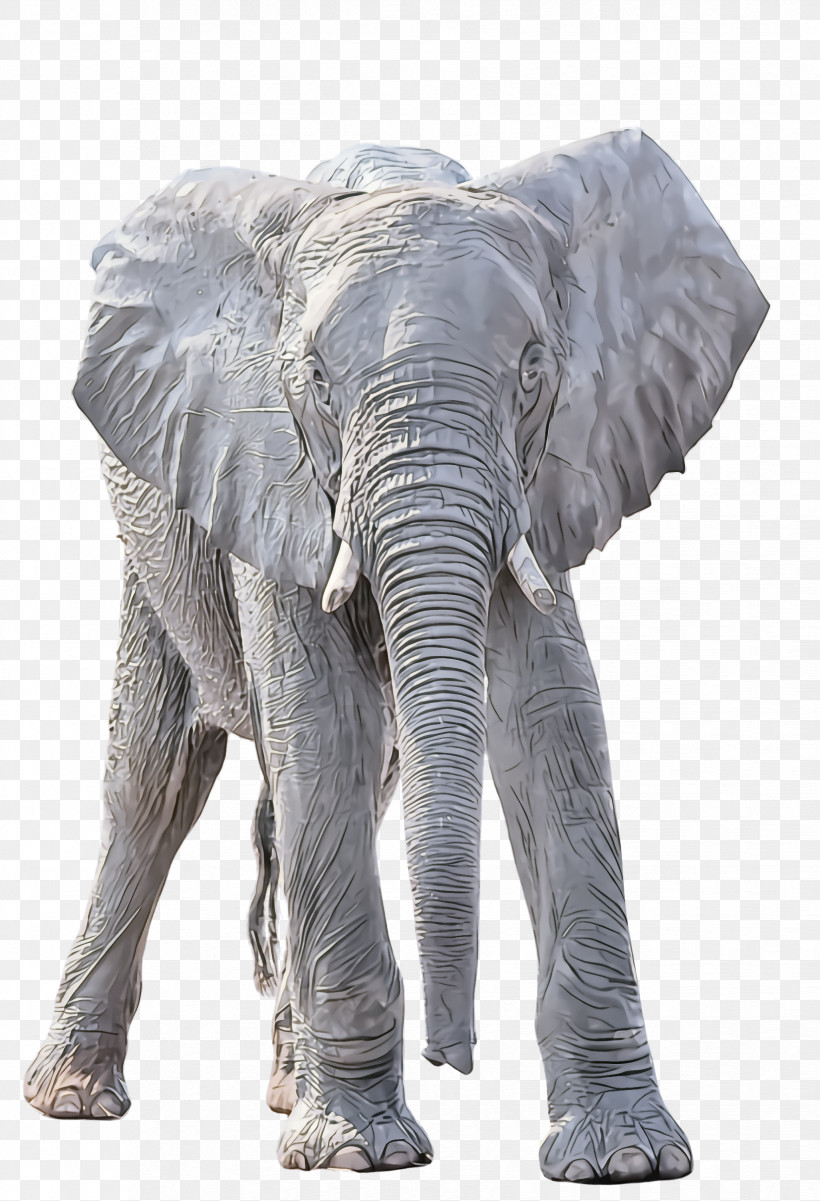 Indian Elephant, PNG, 1652x2420px, Elephant, African Elephant, Animal Figure, Indian Elephant, Snout Download Free