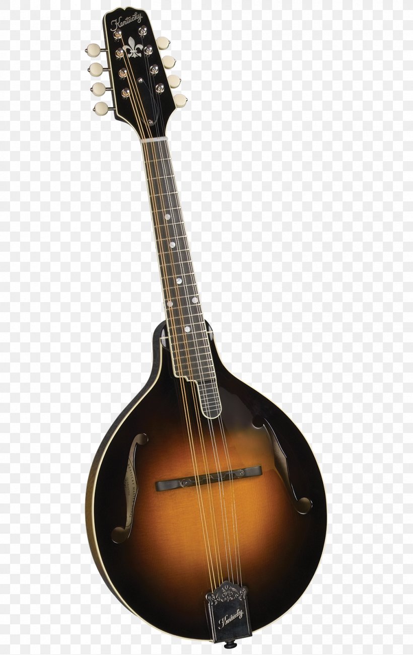 Mandolin Musical Instruments Ukulele Bluegrass Banjo, PNG, 1008x1600px, Watercolor, Cartoon, Flower, Frame, Heart Download Free