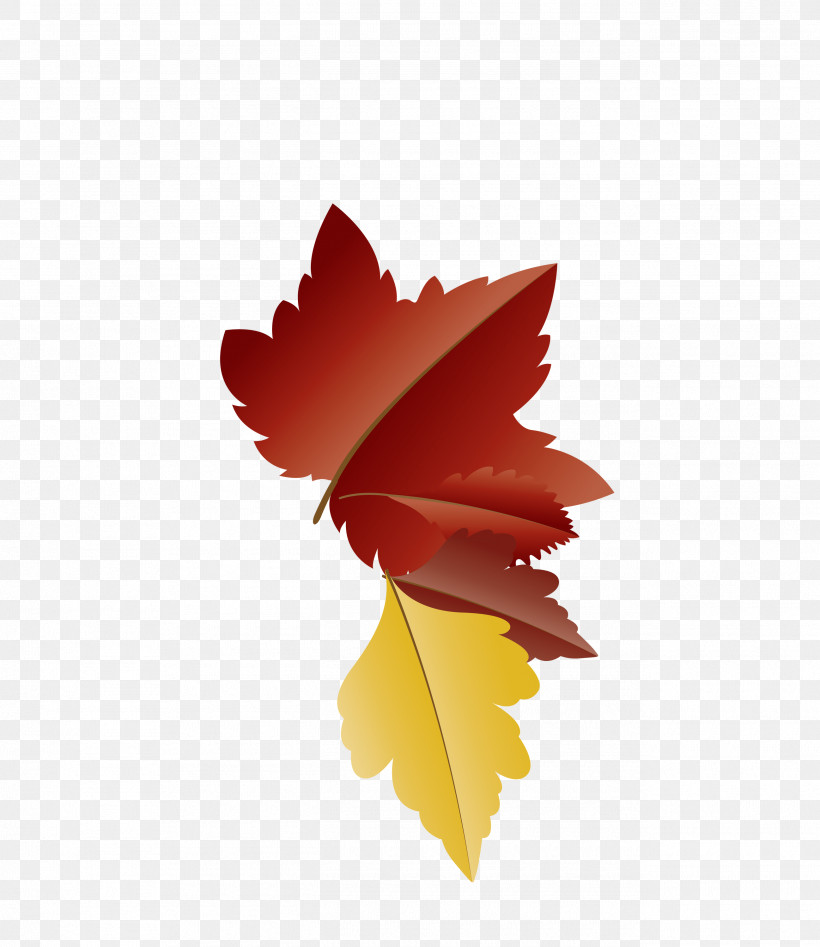 Maple Leaf, PNG, 2595x3000px, Autumn Leaf, Biology, Cartoon Leaf, Fall Leaf, Leaf Download Free