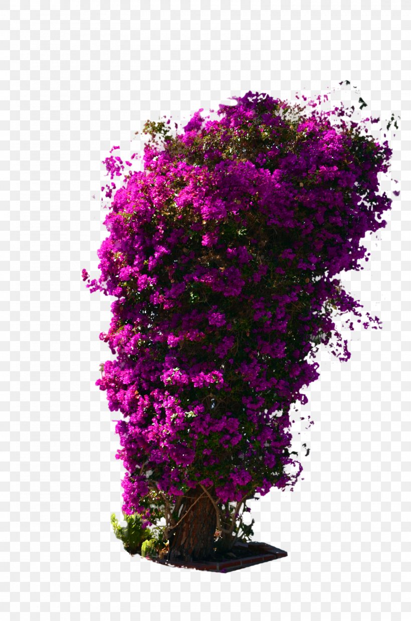 Shrub Flower Violet DeviantArt, PNG, 1600x2416px, Shrub, Annual Plant, Branch, Cut Flowers, Deviantart Download Free