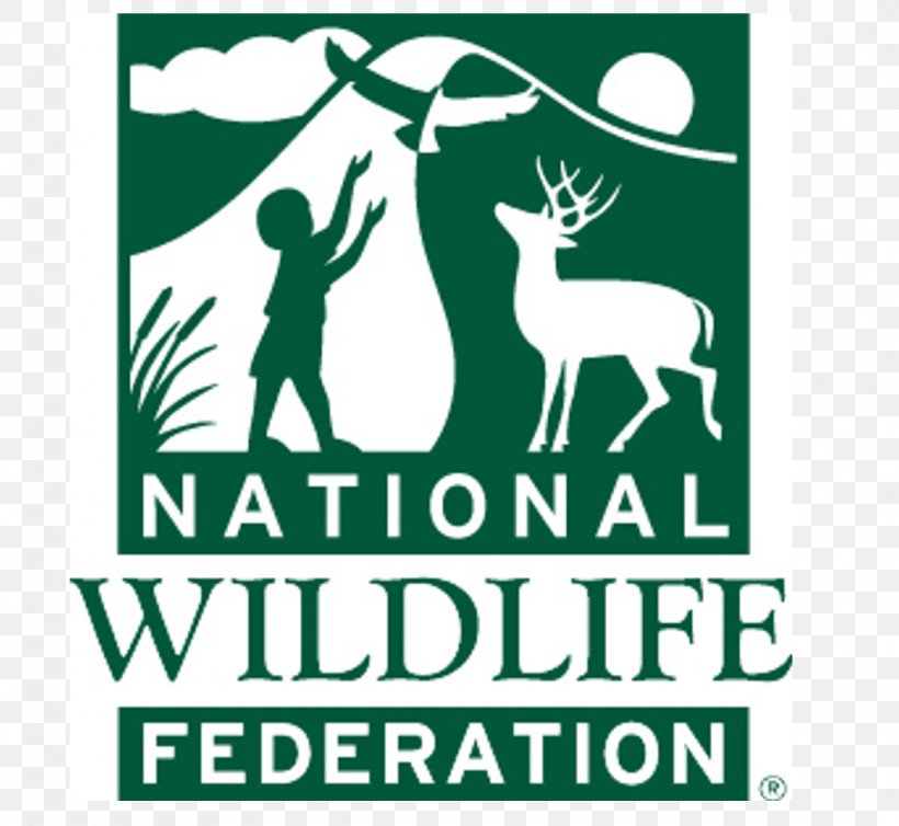 United States National Wildlife Federation Conservation, PNG, 1069x983px, United States, Area, Brand, Conservation, Deer Download Free