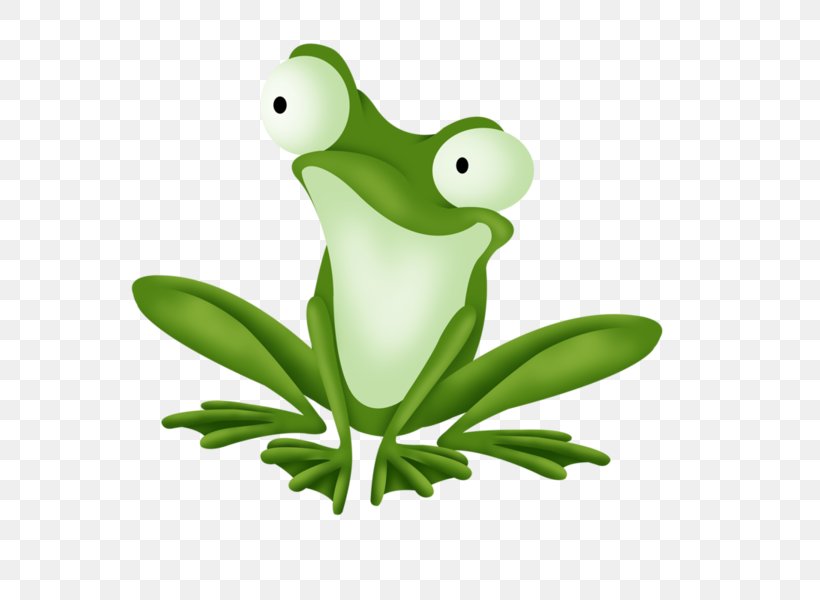 Edible Frog Rana, PNG, 600x600px, Frog, Amphibian, Animation, Cartoon, Drawing Download Free