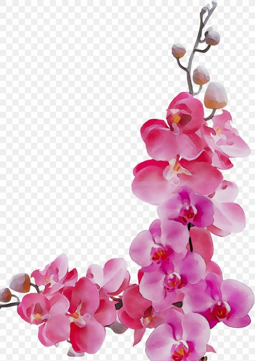 Flower Image Floral Design Vector Graphics, PNG, 1057x1499px, Flower, Artificial Flower, Blossom, Branch, Cherry Blossom Download Free