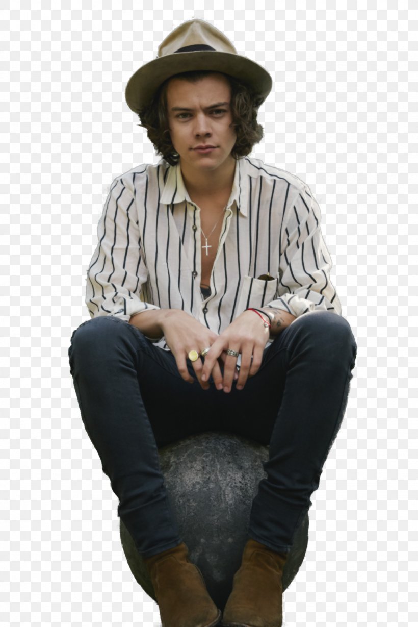Harry Styles One Direction Four Perfect, PNG, 1024x1535px, Watercolor, Cartoon, Flower, Frame, Heart Download Free