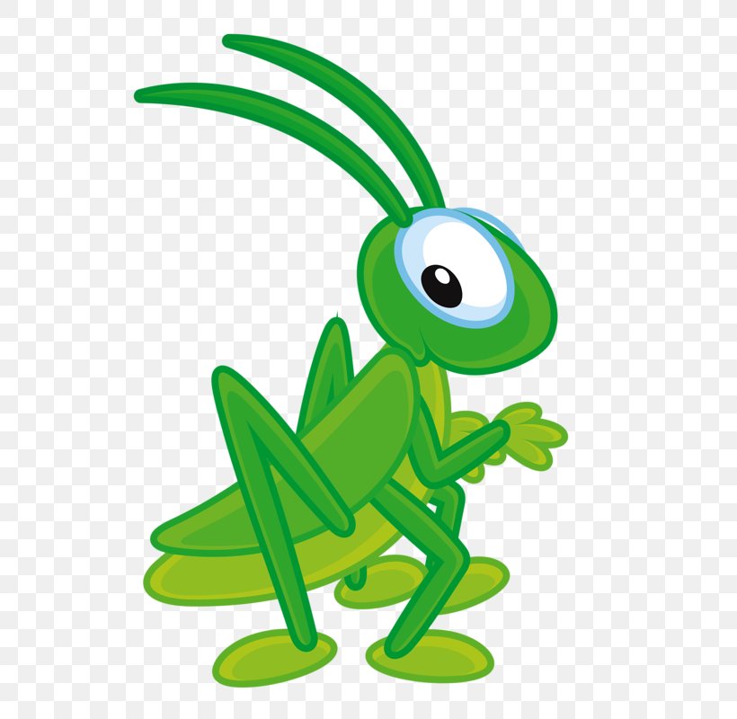 Insect Cricket Clip Art, PNG, 549x800px, Insect, Amphibian, Bee, Bush Crickets, Cartoon Download Free