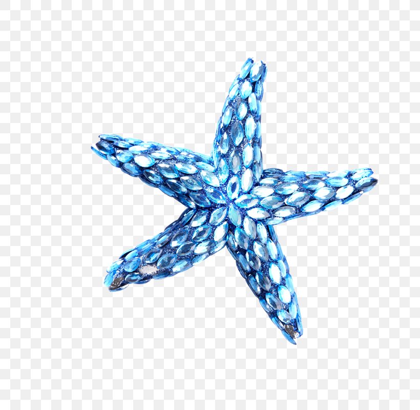 Starfish Blue Drawing, PNG, 800x800px, Starfish, Aqua, Blue, Cartoon, Cobalt Blue Download Free