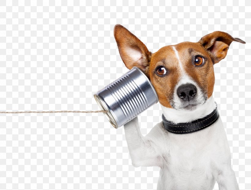YouTube Conversation Communication Telephone Call Information, PNG, 1581x1200px, Youtube, Communication, Companion Dog, Conversation, Critical Illness Insurance Download Free
