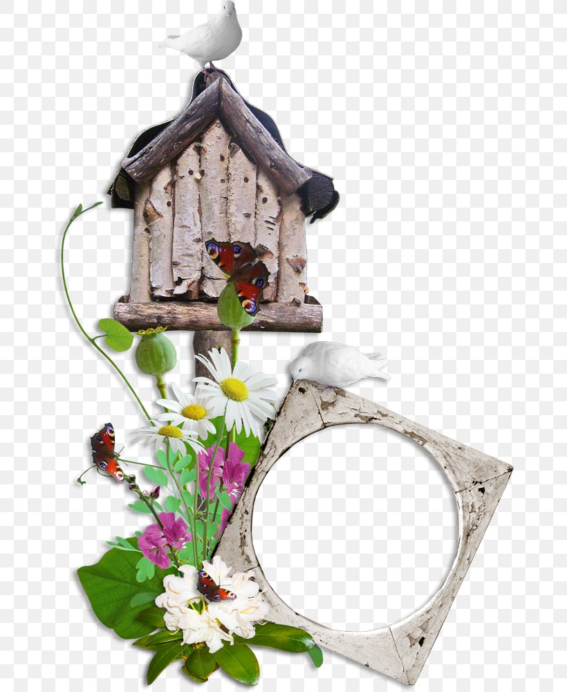Download, PNG, 666x1000px, Animation, Birdhouse, Flora, Picture Frames, Pin Download Free