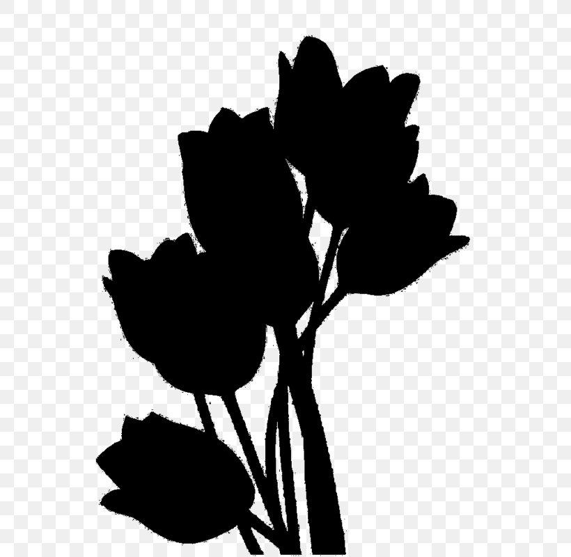 Rose Family Clip Art Leaf Silhouette, PNG, 570x800px, Rose Family, Blackandwhite, Botany, Flower, Flowering Plant Download Free