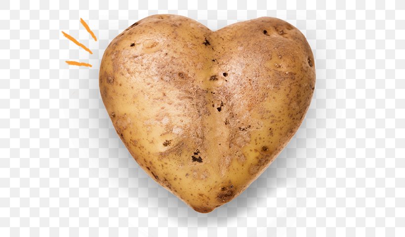 Russet Burbank Potato Irish Potato Candy Goulash Vegetable Stock Photography, PNG, 599x480px, Russet Burbank Potato, Food, Goulash, Ifwe, Irish Potato Candy Download Free