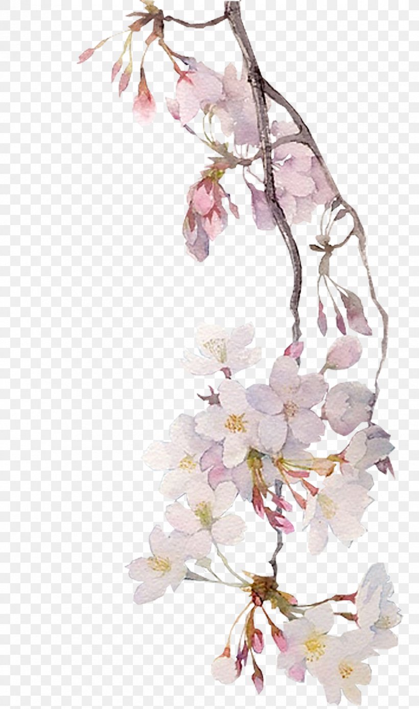 Watercolor Painting Illustrator Illustration, PNG, 1725x2916px, Watercolor Painting, Art, Blog, Blossom, Branch Download Free