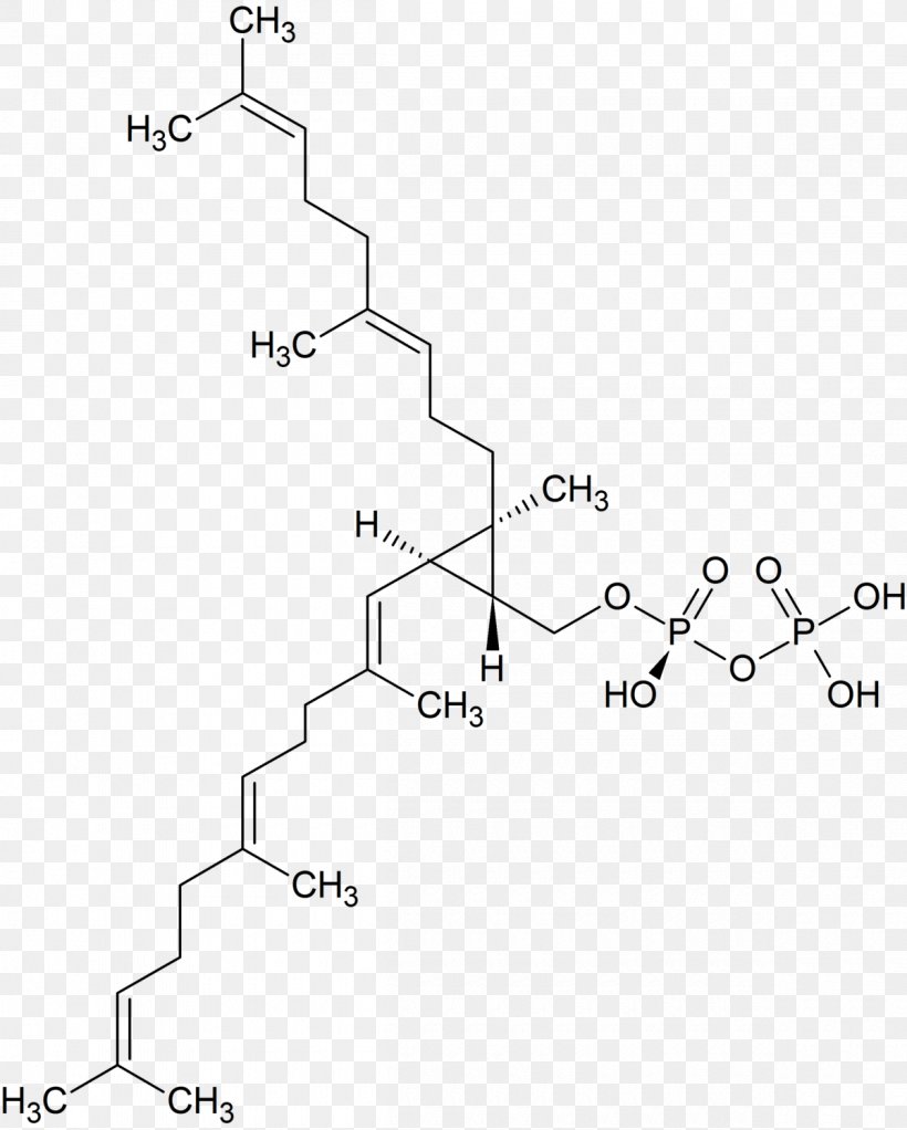 {(1R,2R,3R)-2-[(3E)-4,8-dimethylnona-3,7-dien-1-yl]-2-methyl-3-[(1E,5E)-2,6,10-trimethylundeca-1,5,9-trien-1-yl]cyclopropyl}methyl Trihydrogen Diphosphate Farnesyl Pyrophosphate Lanosterol Squalene, PNG, 1200x1496px, Pyrophosphate, Area, Auto Part, Biosynthesis, Black And White Download Free
