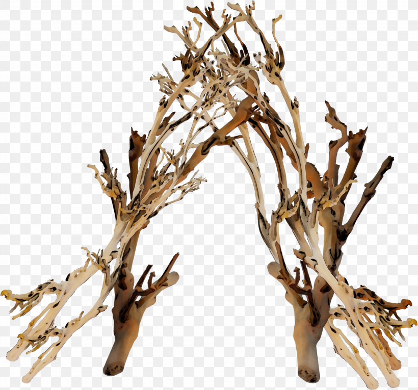 Branch Twig Tree Plant Woody Plant, PNG, 2149x2007px, Watercolor, Aquarium Decor, Branch, Driftwood, Flower Download Free