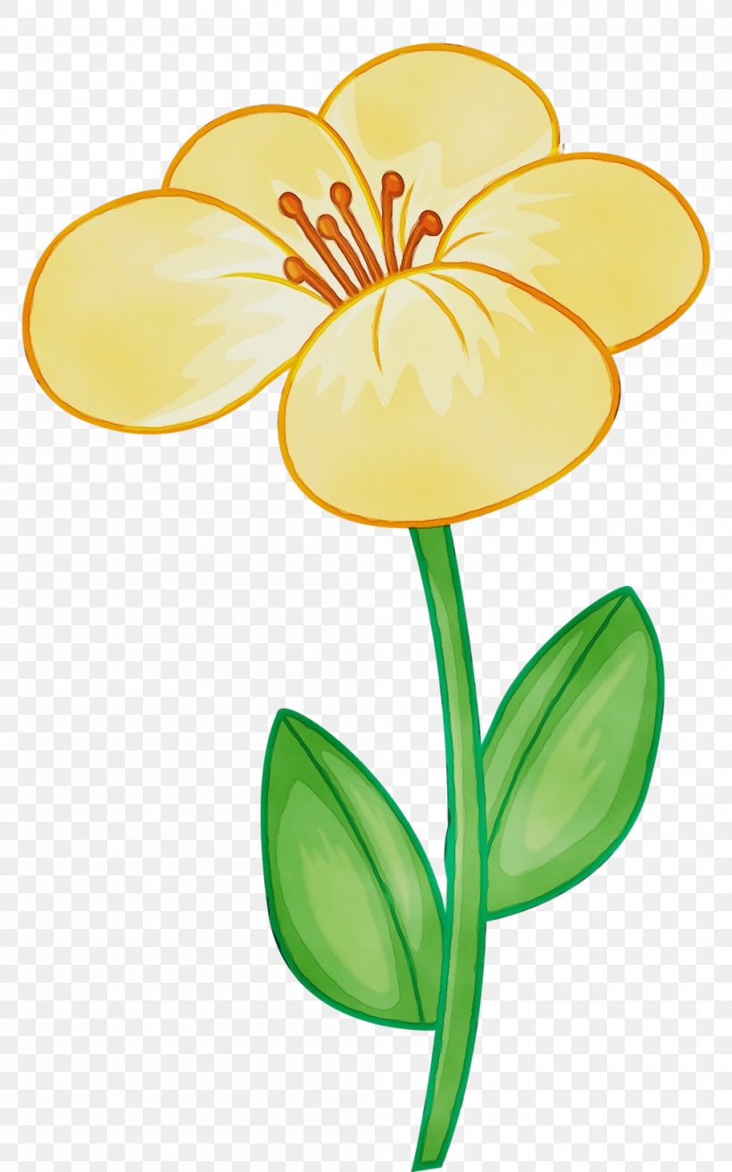 Clip Art Yellow Flower Plant Petal, PNG, 1000x1600px, Watercolor, Flower, Flowering Plant, Paint, Pedicel Download Free