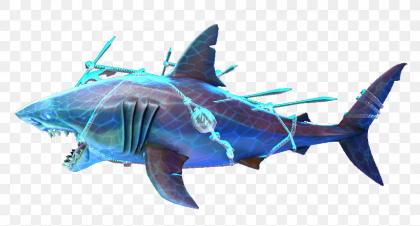 Great White Shark Requiem Sharks Marine Biology Fauna, PNG, 998x538px, Great White Shark, Biology, Carcharodon, Cartilaginous Fish, Electric Blue Download Free