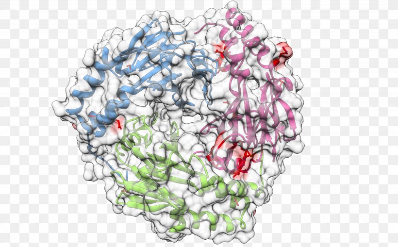 Institute For Research In Biomedicine Weizmann Institute Of Science Biology Proteomics, PNG, 3000x1865px, Research, Art, Bioinformatics, Biologist, Biology Download Free