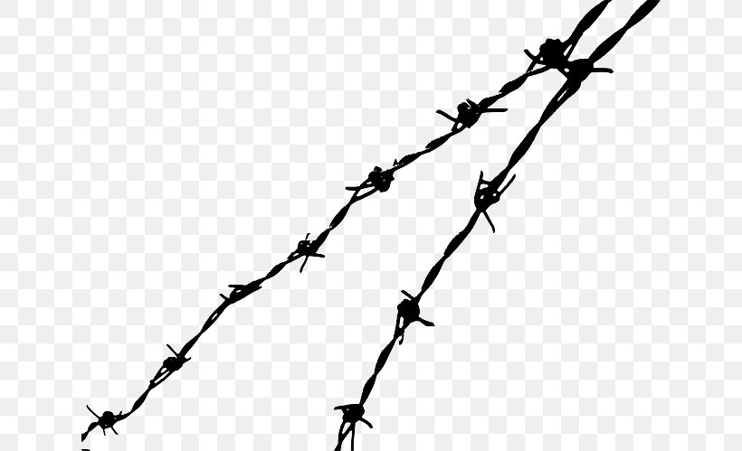 Barbed Wire Clip Art, PNG, 640x499px, Barbed Wire, Barbed Tape, Black And White, Branch, Drawing Download Free