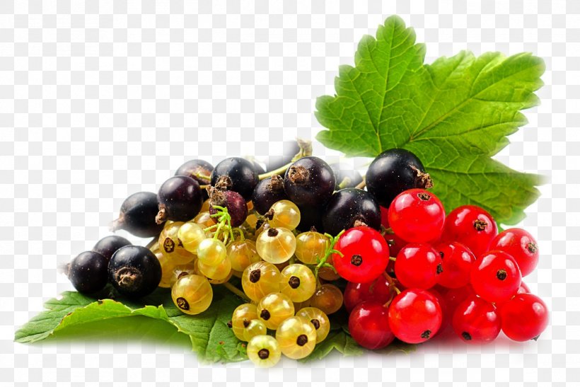 Blackcurrant Redcurrant Berry Zante Currant White Currant, PNG, 1344x897px, Blackcurrant, Berry, Blackberry, Blueberry, Cranberry Download Free