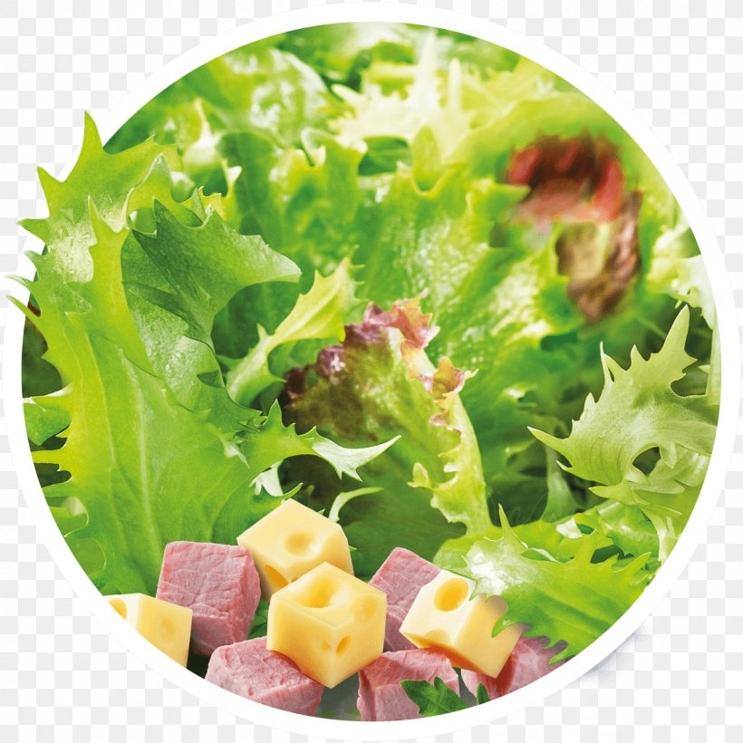 Lettuce Caesar Salad Vegetarian Cuisine Vinaigrette Chicken Salad, PNG, 1200x1200px, Watercolor, Cartoon, Flower, Frame, Heart Download Free