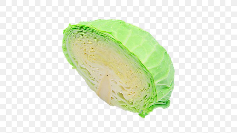 Cabbage Download, PNG, 600x462px, Cabbage, Food, Google Images, Jpeg Network Graphics, Leaf Vegetable Download Free