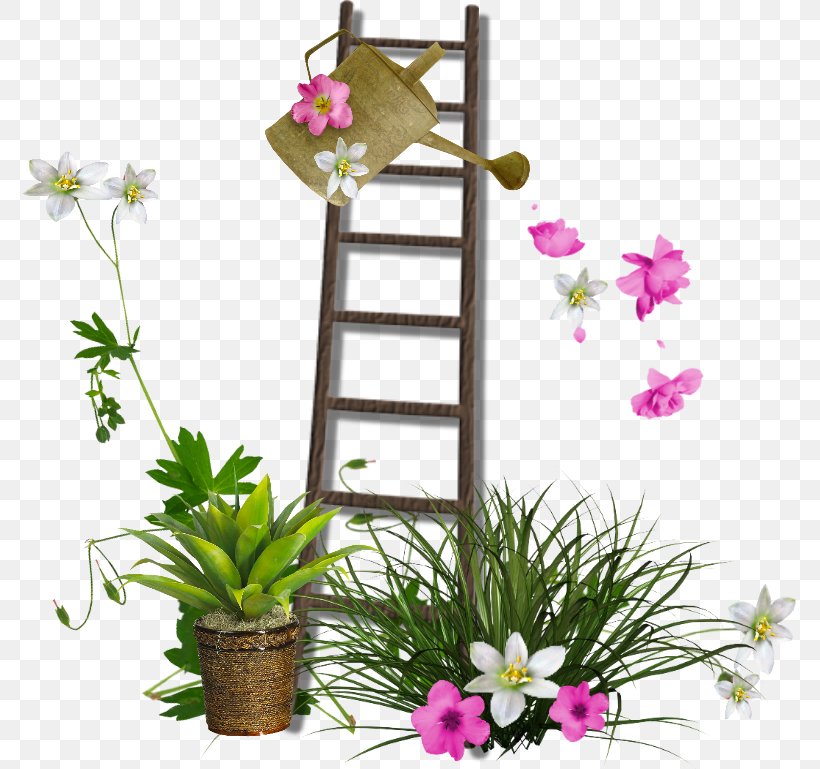 Ladder Clip Art Garden Staircases, PNG, 774x769px, Ladder, Art, Attic Ladder, Cut Flowers, Dendrobium Download Free