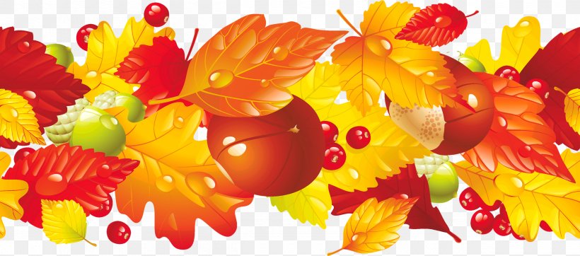 Borders Clip Art Vector Graphics Autumn Image, PNG, 2500x1106px, Autumn, Art, Autumn Leaf Color, Borders Clip Art, Flower Download Free