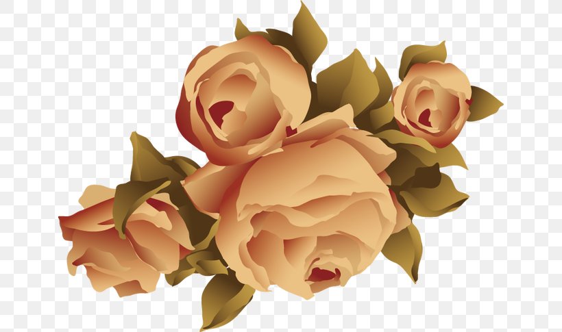 Garden Roses Beach Rose Flower Adobe Illustrator, PNG, 650x485px, Garden Roses, Beach Rose, Designer, Floral Design, Floristry Download Free