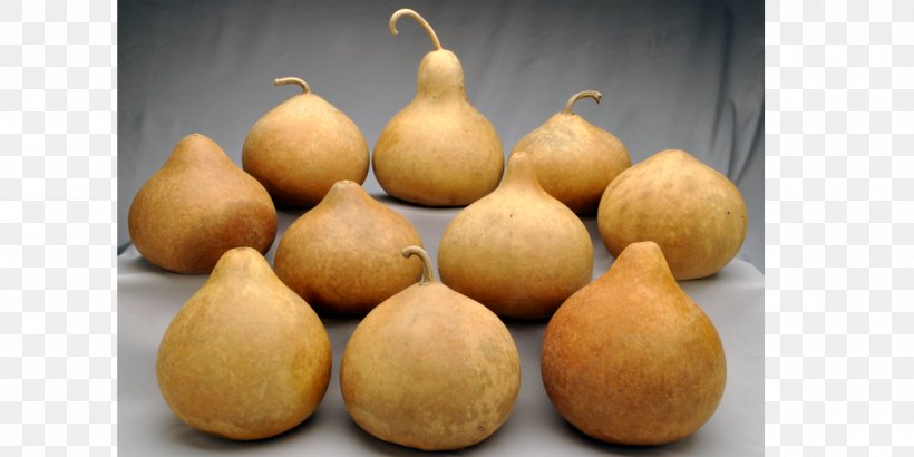 Gourd Boxed.com Shopping Grocery Store, PNG, 1200x600px, Gourd, Boxedcom, Bulk Purchasing, Cucurbita, Food Download Free