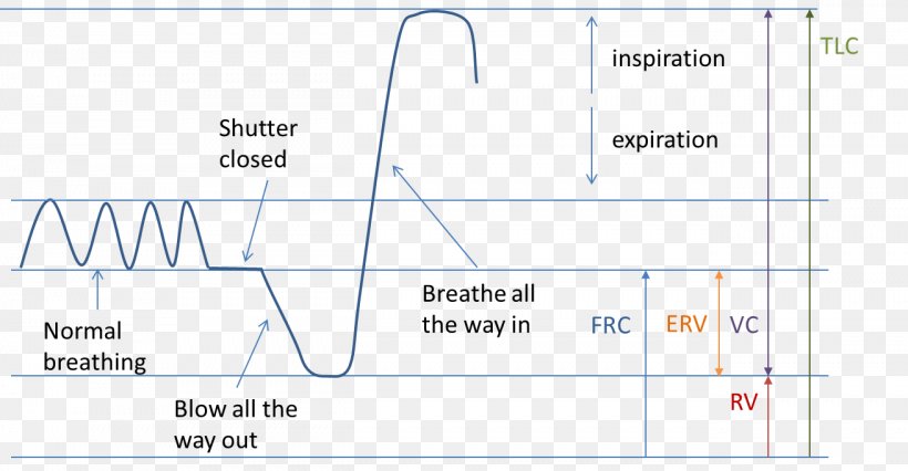 Line Angle, PNG, 1312x682px, Diagram, Area, Parallel, Plot, Text Download Free