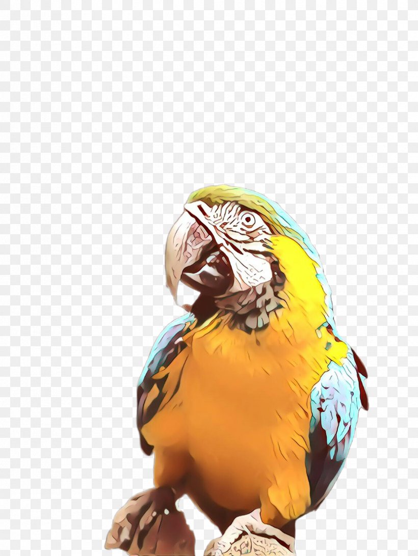 Macaw Parrot Bird Yellow Parakeet, PNG, 1732x2307px, Cartoon, Beak, Bird, Budgie, Macaw Download Free