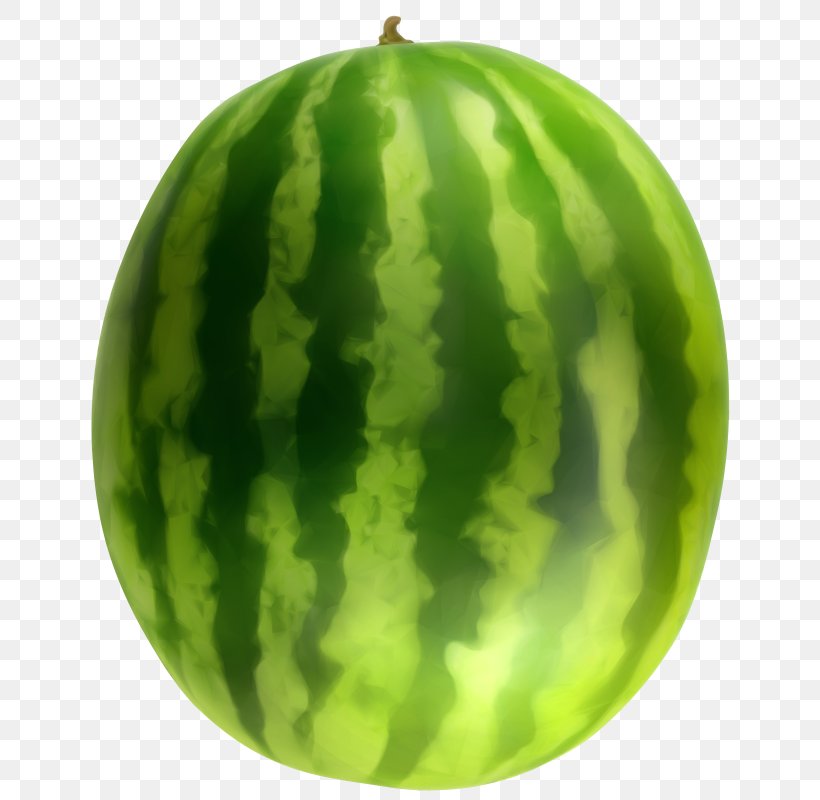 Watermelon Clip Art Fruit Image, PNG, 666x800px, Watermelon, Citrullus, Cucumber Gourd And Melon Family, Cucumis, Cucurbita Download Free