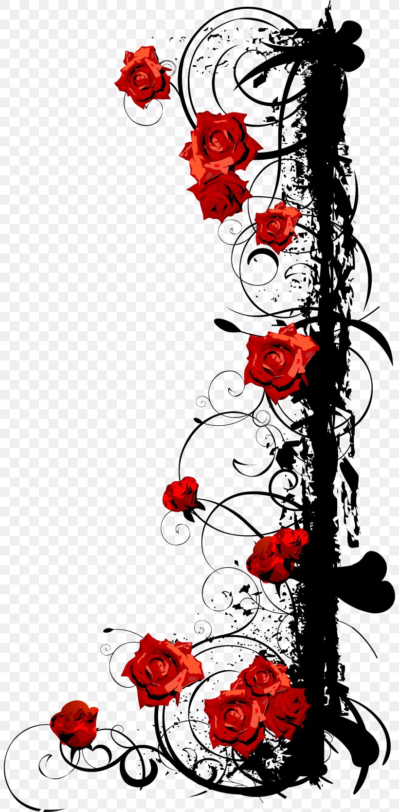 Beach Rose Euclidean Vector, PNG, 804x1667px, Beach Rose, Art, Black And White, Designer, Flora Download Free