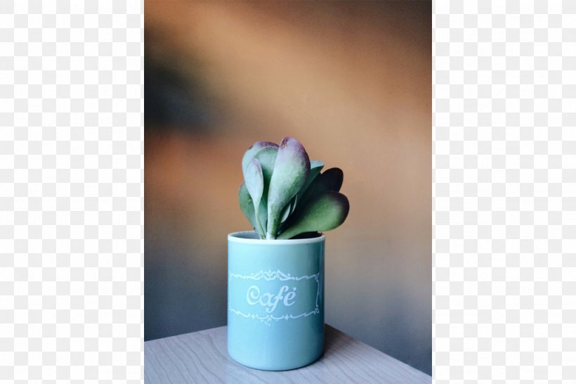 Ceramic Flowerpot, PNG, 1024x682px, Ceramic, Flower, Flowerpot, Plant, Vase Download Free