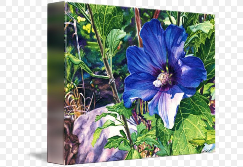 Gallery Wrap Rose Of Sharon Violet Flowering Plant, PNG, 650x564px, Gallery Wrap, Annual Plant, Bellflower Family, Blue, Canvas Download Free
