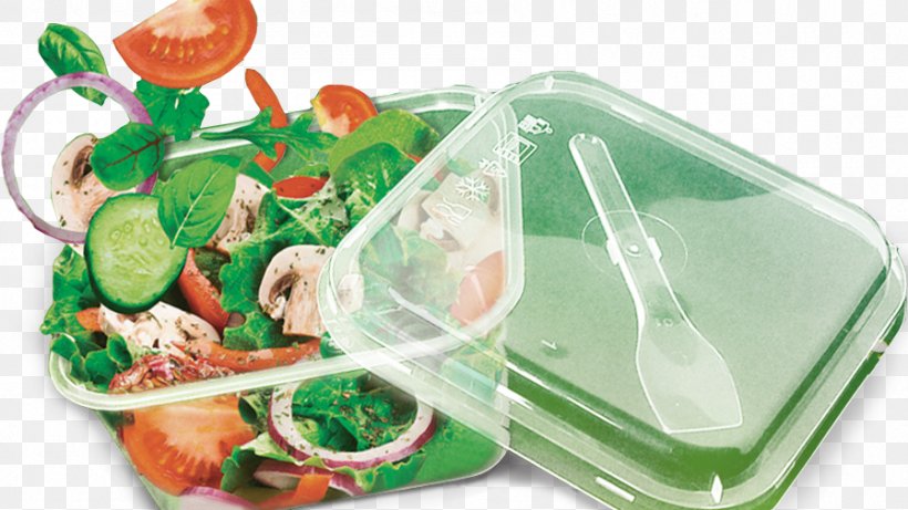 Plastic Container Food Storage Containers Food Packaging, PNG, 897x505px, Plastic, Box, Container, Disposable Food Packaging, Food Download Free