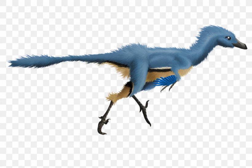 Troodon Velociraptor Dromaeosaurus Dinosaur Feather, PNG, 1000x667px, Troodon, Ark Survival Evolved, Beak, Bird, Dinopedia Download Free