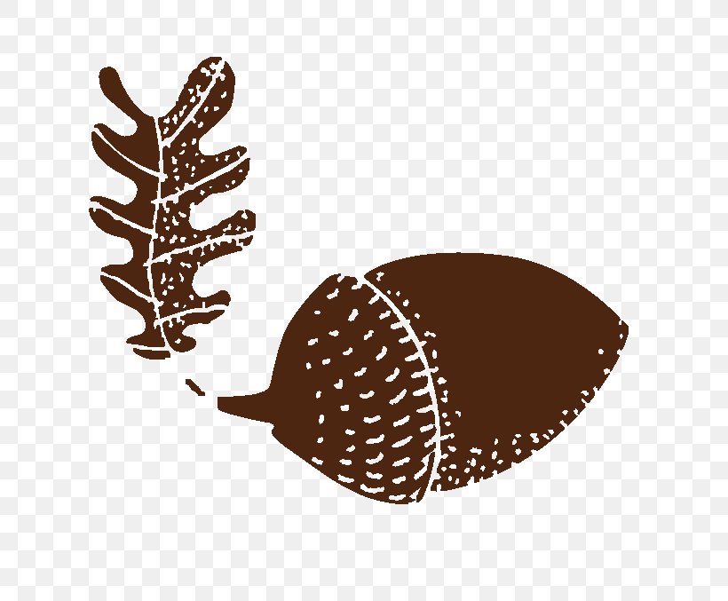Acorn Drawing Bellota-bellota Mismomundi Book, PNG, 660x677px, Acorn, Age Of Enlightenment, Author, Book, Drawing Download Free