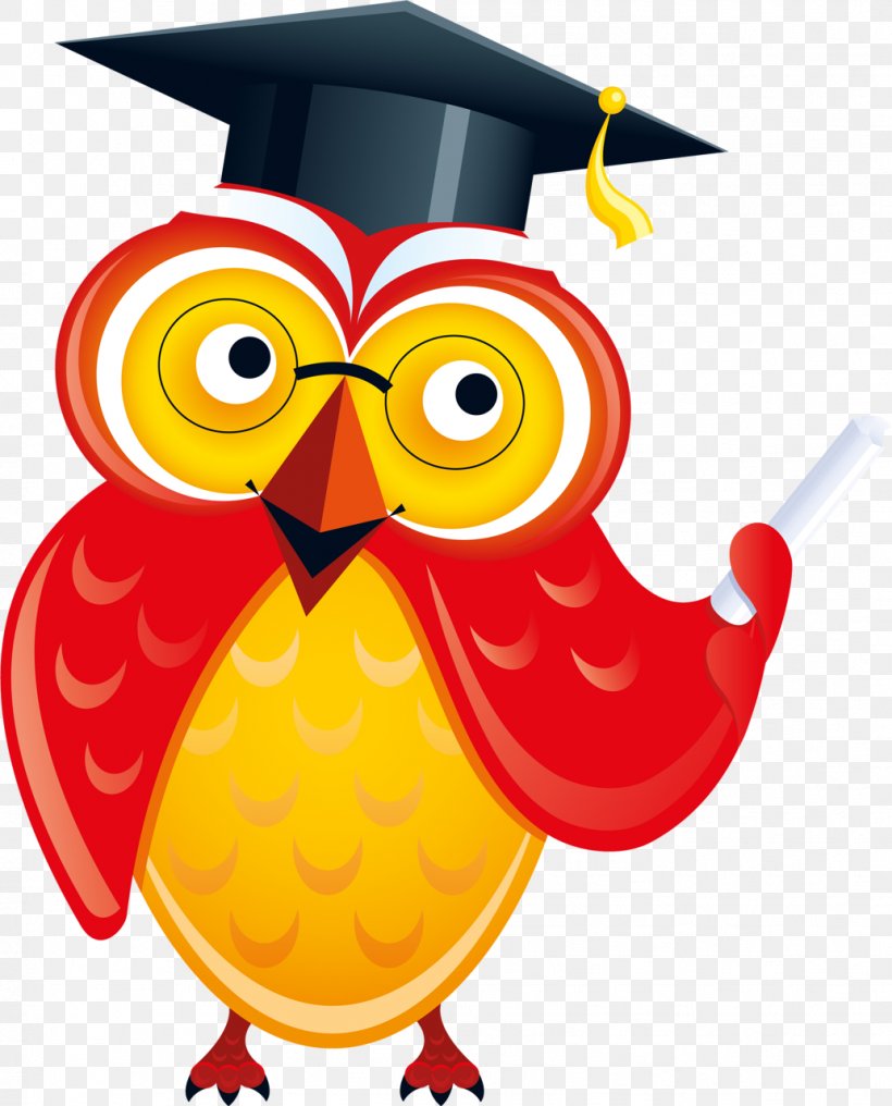 Graduation Background, PNG, 1033x1280px, Teacher, Bird, Bird Of Prey, Cartoon, Early Childhood Education Download Free