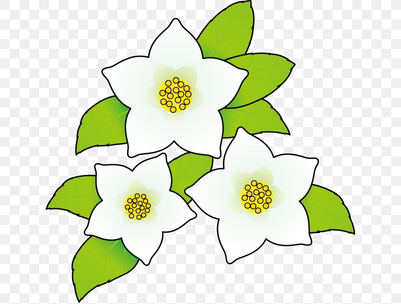 Illustration Image Floral Design Flower Clip Art, PNG, 633x622px, Floral Design, Botany, Christmas Day, Flower, Flowering Plant Download Free