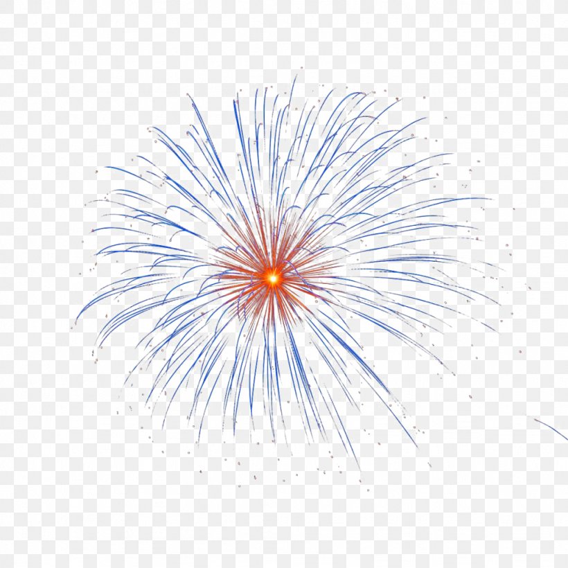 Image Vector Graphics Fireworks Transparency, PNG, 1024x1024px, Fireworks, Adobe Fireworks, Organism, Photography, Sky Download Free