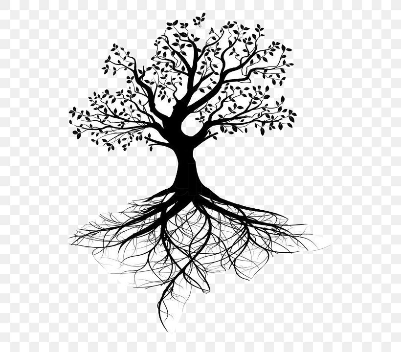 Stock Photography Tree Of Life Root, PNG, 598x720px, Stock Photography, Art, Artwork, Black And White, Branch Download Free