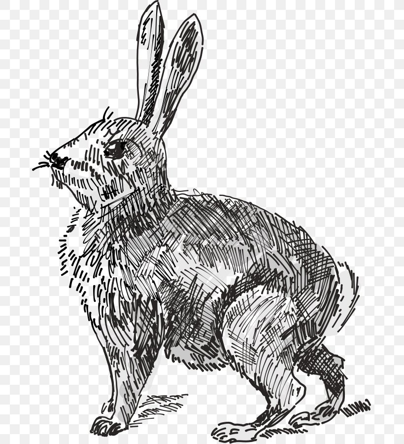 White Rabbit Easter Bunny Hare Clip Art, PNG, 689x900px, White Rabbit, Animal Figure, Art, Black And White, Carnivoran Download Free