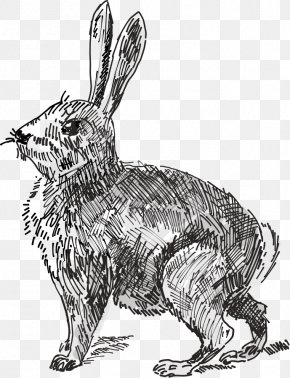 Dutch Rabbit Easter Bunny Hare Clip Art, PNG, 522x547px, Dutch Rabbit ...