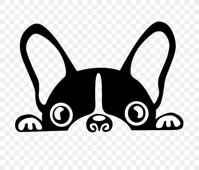 Boston Terrier French Bulldog Brazilian Terrier Puppy, PNG, 700x700px, Boston Terrier, American Kennel Club, Black, Black And White, Brazilian Terrier Download Free