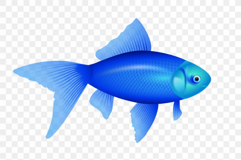 One Fish, Two Fish, Red Fish, Blue Fish Redfish Red Drum Goldfish Clip Art, PNG, 999x663px, Redfish, Blue, Bony Fish, Electric Blue, Fin Download Free