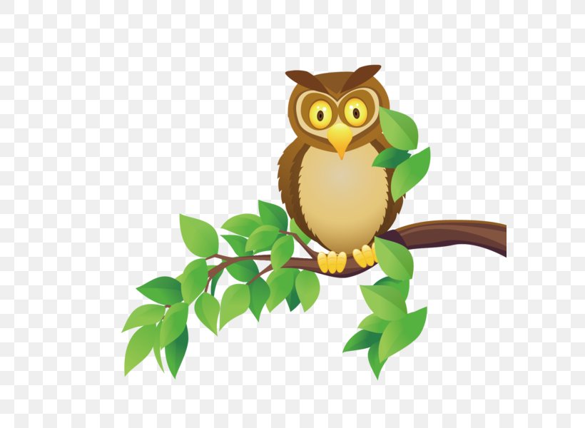 Owl Cartoon, PNG, 600x600px, Owl, Animal, Animal Figure, Bird, Bird Of Prey Download Free