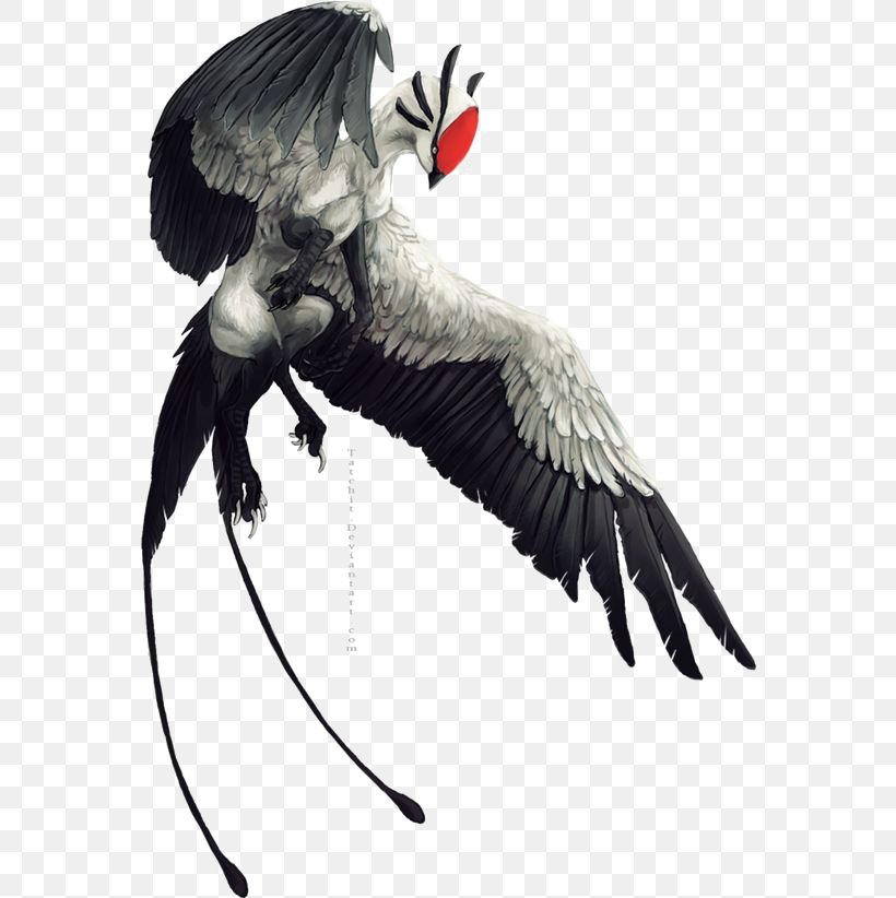 Concept Art Fantasy Drawing Legendary Creature, PNG, 564x822px, Art, Beak, Bird, Character, Concept Art Download Free
