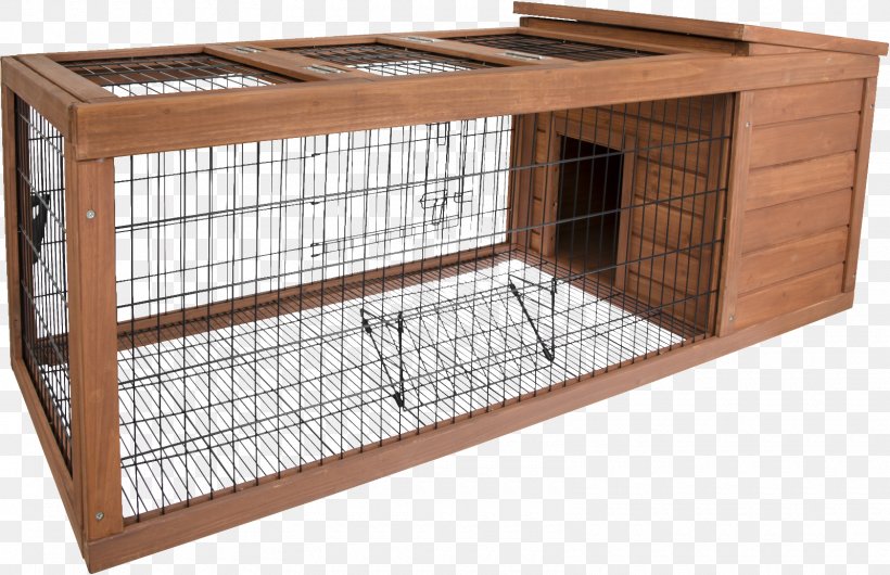 Guinea Pig Ferret Rodent Cage Pet, PNG, 1600x1035px, Guinea Pig, Cage, Cat, Dog, Dog Grooming Download Free