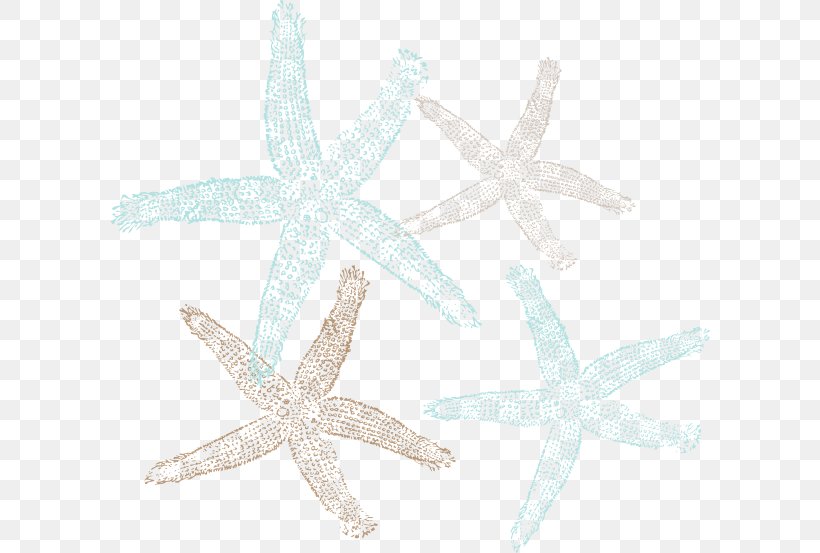 Marine Invertebrates Starfish Echinoderm Animal, PNG, 600x553px, Invertebrate, Animal, Echinoderm, Fish, Marine Invertebrates Download Free